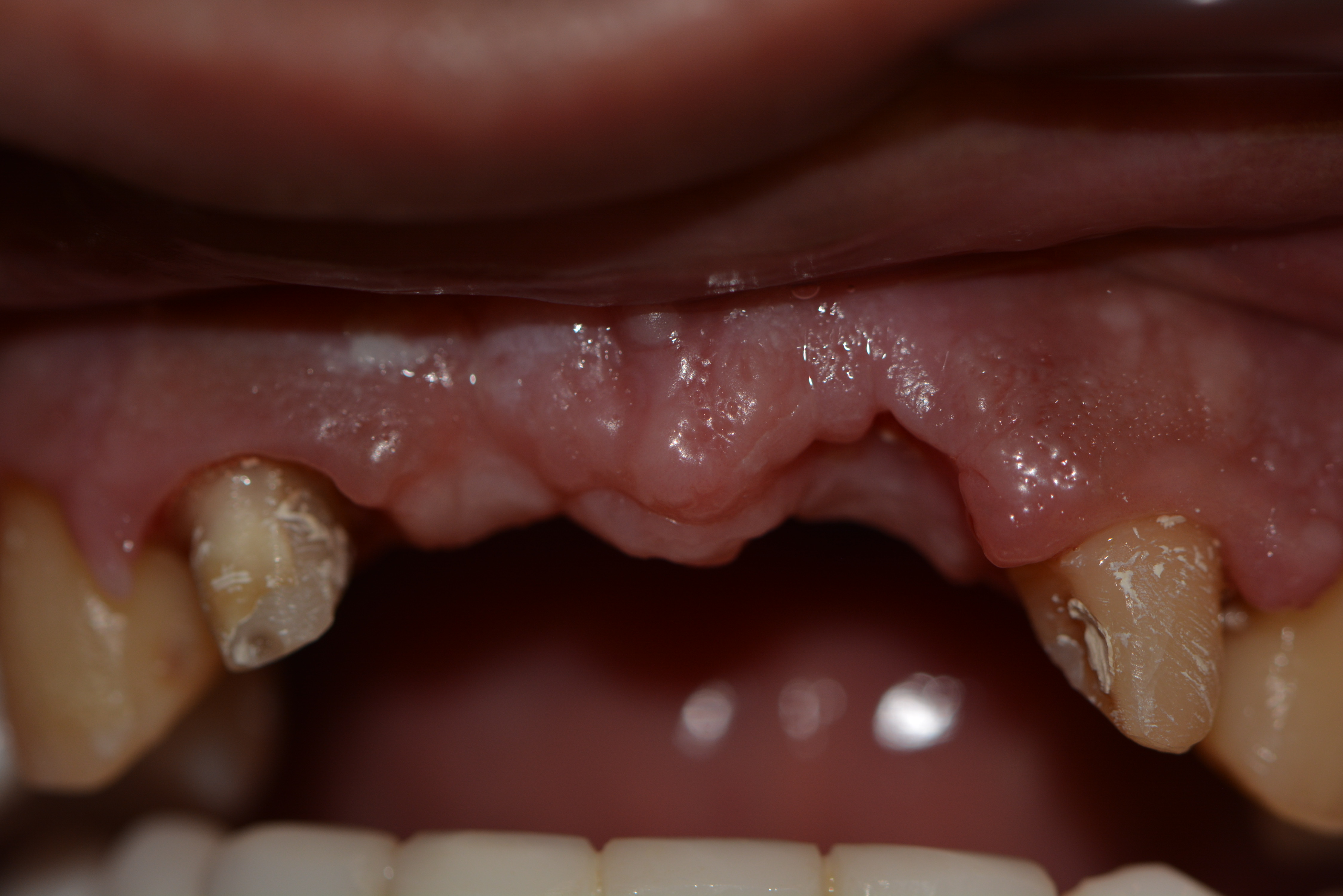Dr Habib Zarifeh portrait cosmetic dentist Lebanon Beirut